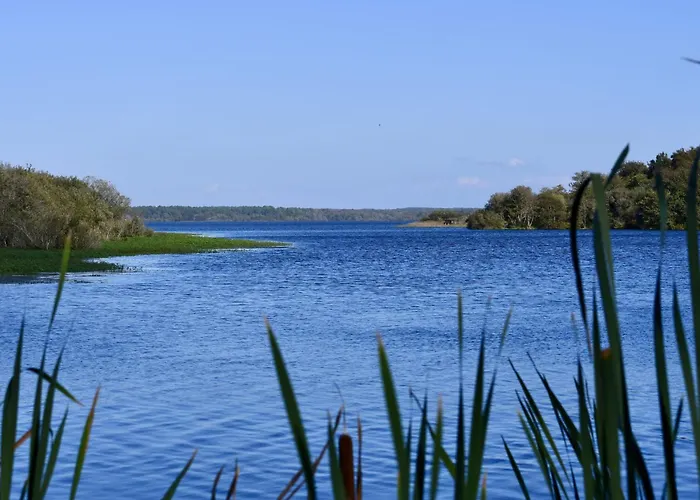 Belvedere 4 By Interhome Mimizan-Plage